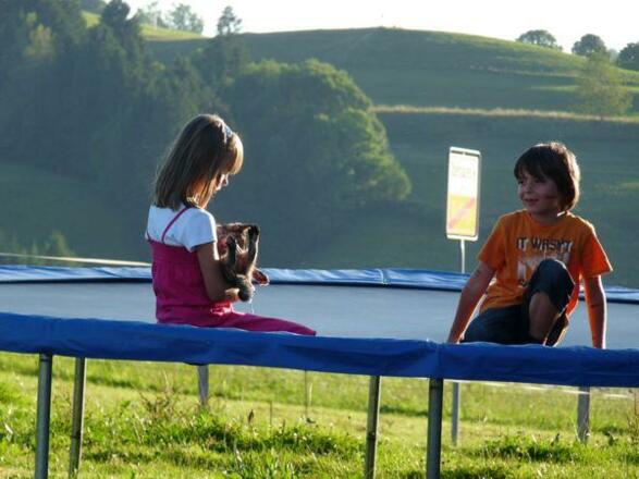 Trampolin und Katze