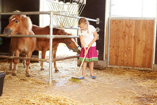 Im Stall helfen