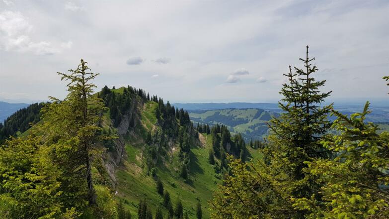 Ausblick vom Hochgrat