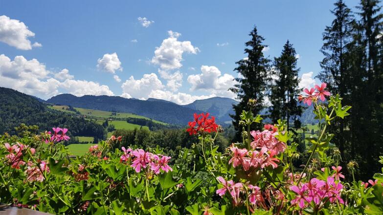 Ausblick auf den Hochgrat