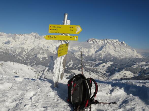 ... noch wenige Meter zum tatsächlich höchsten Punkt der Schwalbenwand. Hinten links das Selbhorn, rechts das Hochkönig-Massiv.
