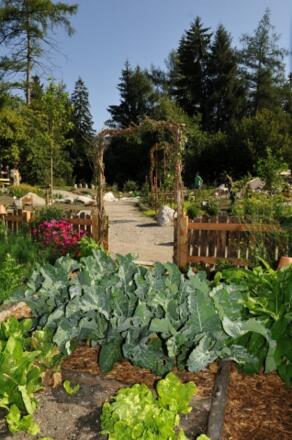 Hildegard von Bingen Garten