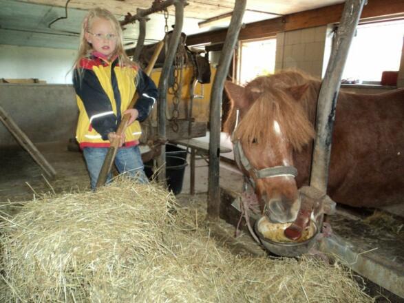 Bei uns im Stall - Landwirtschaft hautnah erleben