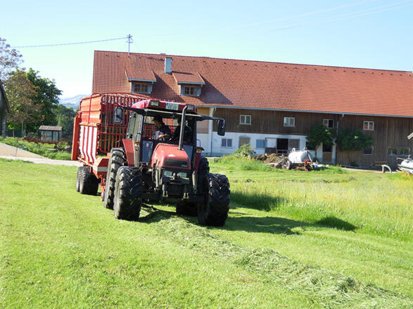 Auf dem Traktor mitfahren oder auch mal zum Heurechen greifen