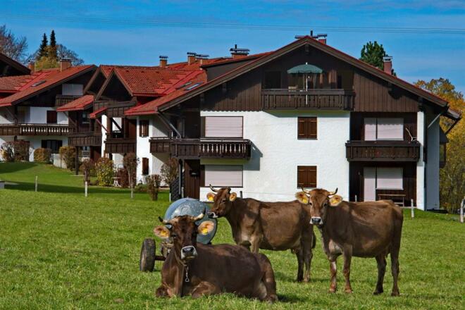 Im_Dorf_19_10_JMW_web_1920