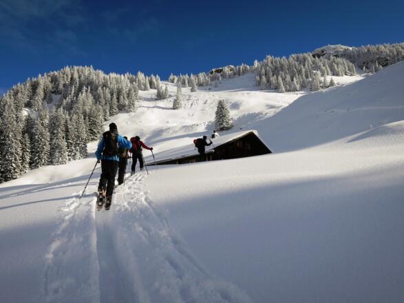 ... zur Gerlinger Alm auf 1690 m führt.