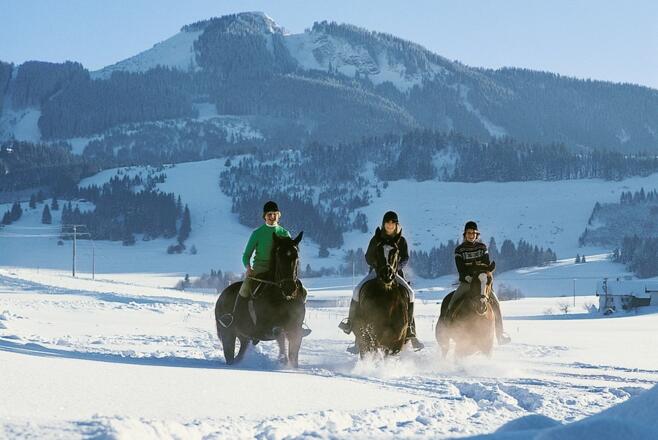 Was für ein Spaß...