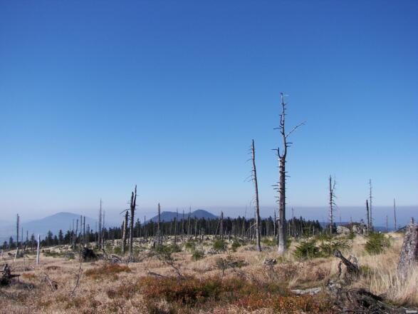 Infotafel zur Juranek Hütte