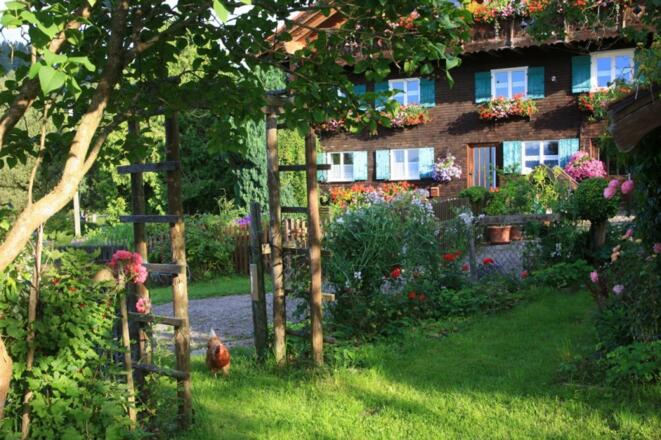 Ferienhof Gast - Linsen