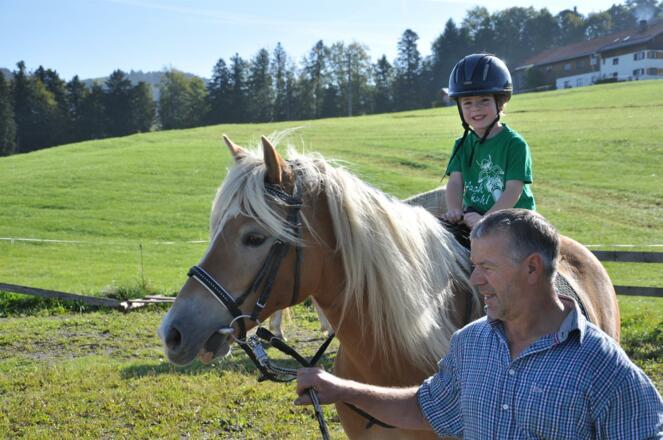 Geführtes Reiten auf Helena oder Henry