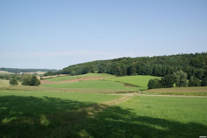 Aussicht Bettenbach-Horn