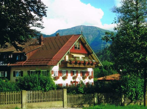 im Sommer mit Hochgrat