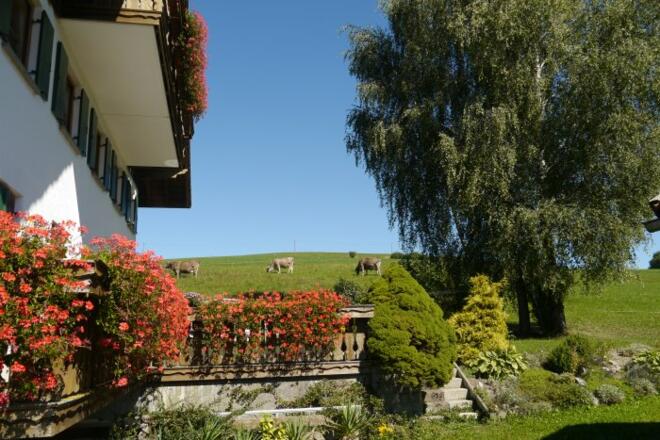 Genießen Sie den herrlichen Ausblick...