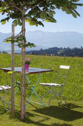 Gemütliche Sitzplätze im Garten