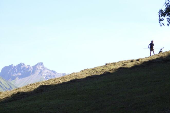 am &quot; Hoib`ä &quot; auf der Alpwiese
