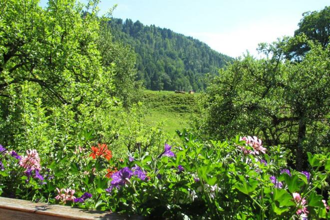 Ausblick vom Süd-West Balkon