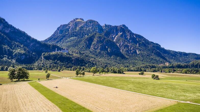 Schloss Neuschwanstein