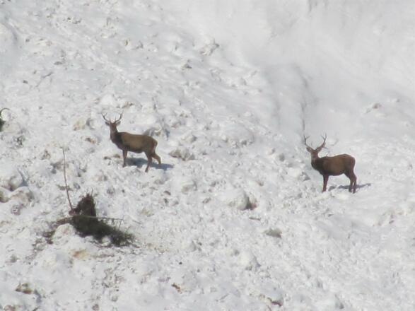 013 12.02.2012 Kelmen