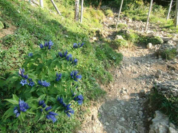 Eine schöne Bergtour!