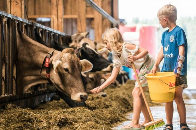 Mitarbeit im Stall