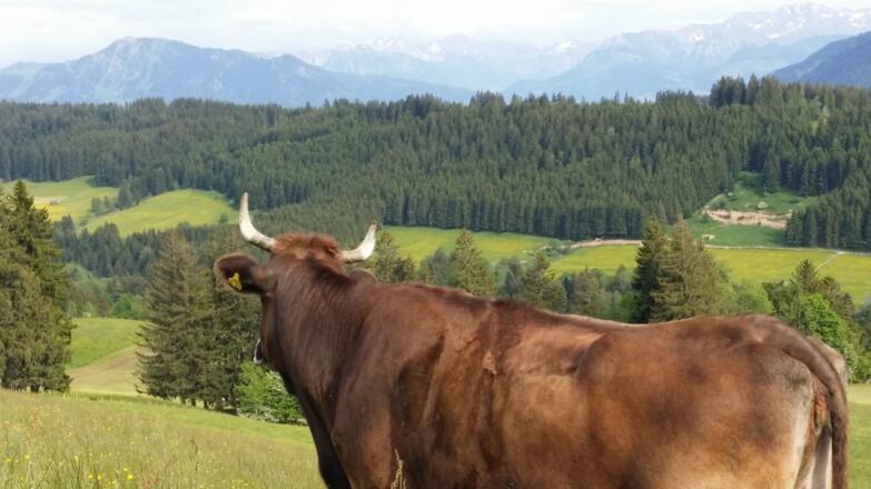 Bei uns gibt´s einen traumhaften Ausblick gratis