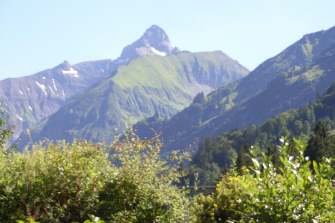 der &quot; Hochvogel &quot;