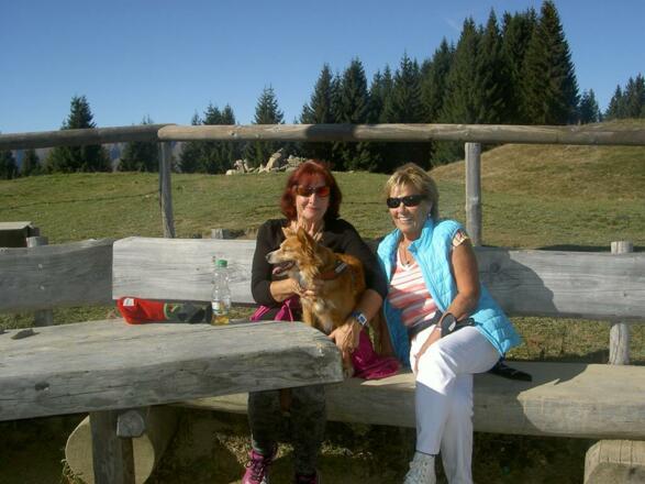 Rast auf dem Gipfel mit Hund und eine deftige