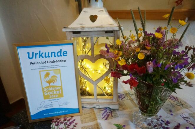 Unser schöner Gockel