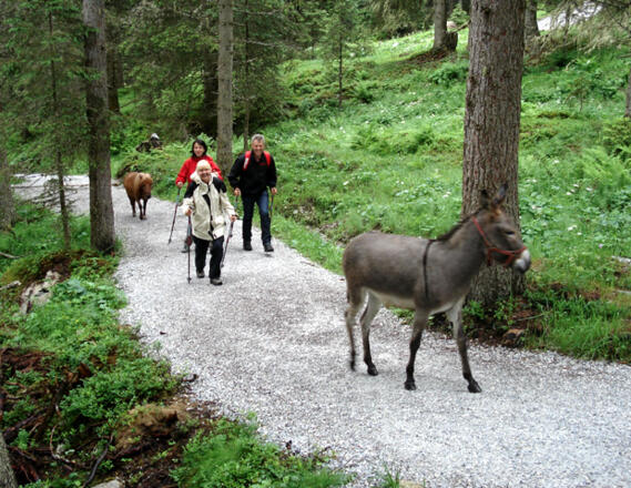 Auf dem Weg zur Leitenkammerklamm