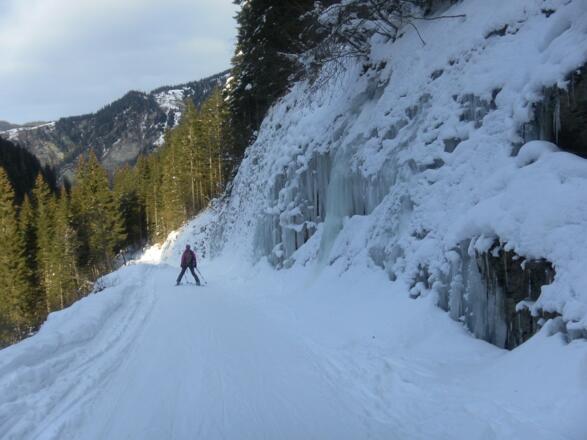 Almstraße im Reitalmgraben