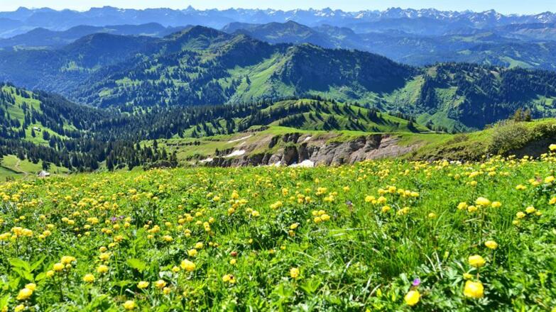 Wanderung Nagelfluhkette Bild 1