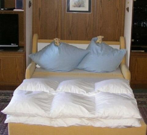 FeWo 1: Schlafcouch 140x210cm