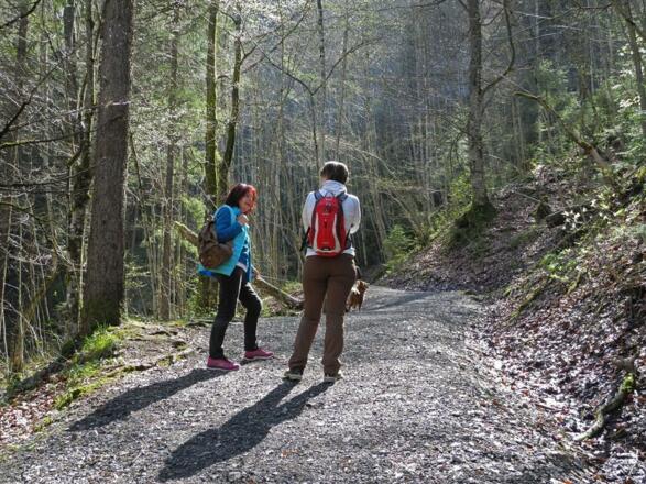 Einfach immer mal stehenbleiben