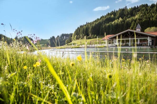 Frühling am Natursee