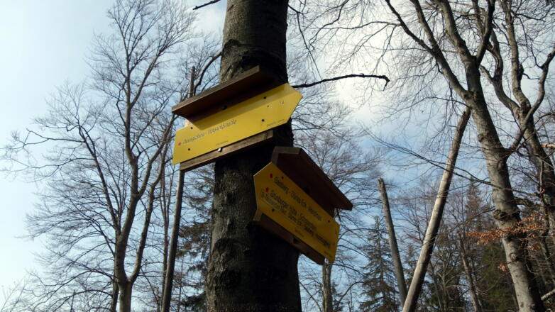 Weg vom Dorngraben ~1080m