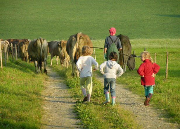 Bei uns erlebt man die Landwirtschaft hautnah...