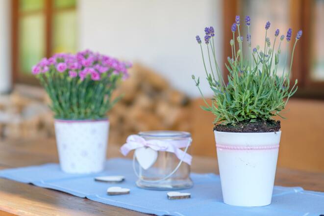 PVM20190524_28329_Greif