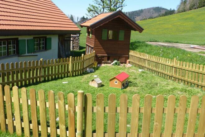 Hasen,- Meerschweinchen und Hühnerhaus