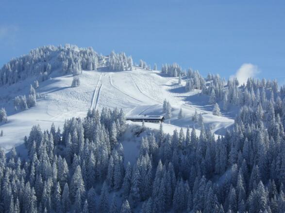 Frisch eingefahrener Skihang am Falken
