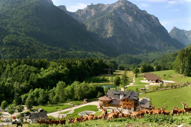 Wildgehege und Gasthof