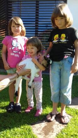 Kuscheln mit &quot; Flecki&quot;