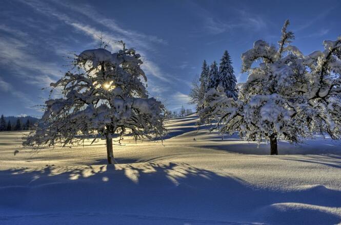 Winterlandschaft