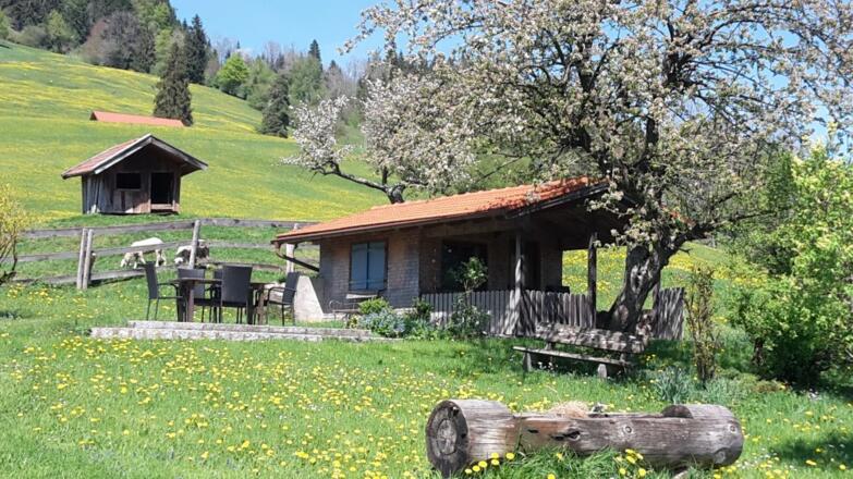Das Gartenhaus mit Terasse