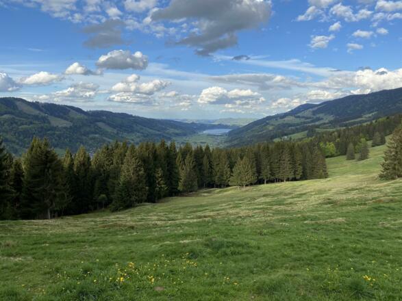 Blick auf Alpsee vom Gipfelkreuz Hündle ohne Mensc