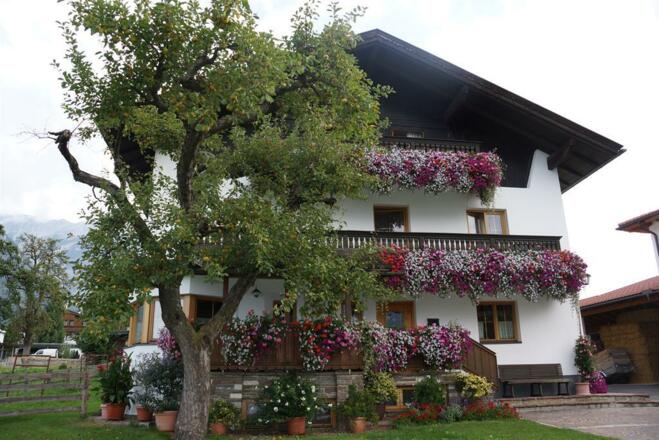 Schlaucher Hof, Außenansicht