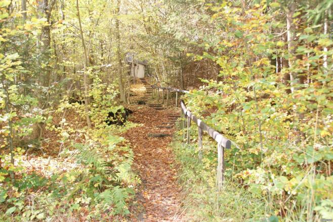 Königin der Apostel