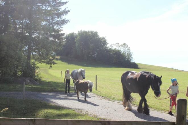 Bounty, Bella Rosa, Bolero