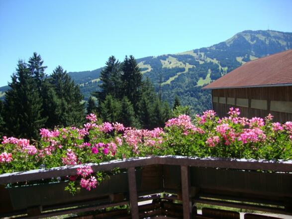 Genießen Sie diese herrliche Aussicht bei uns