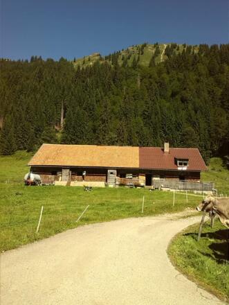 Unsere Alpe im Gunzesrieder Tal