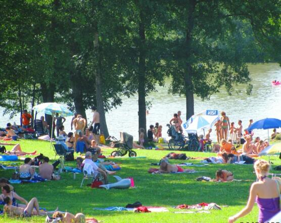 Baden im idyllischen Naturweiher